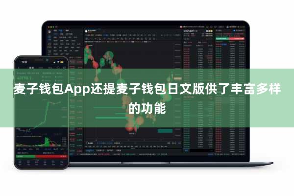 麦子钱包App还提麦子钱包日文版供了丰富多样的功能