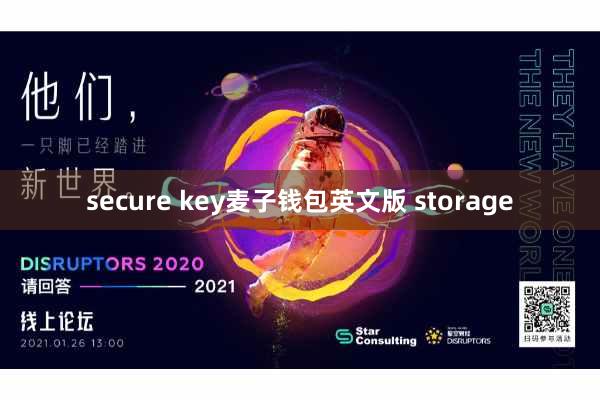 secure key麦子钱包英文版 storage