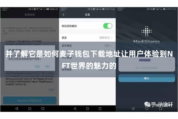 并了解它是如何麦子钱包下载地址让用户体验到NFT世界的魅力的