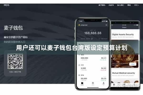用户还可以麦子钱包台湾版设定预算计划