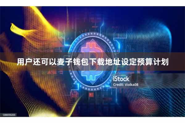 用户还可以麦子钱包下载地址设定预算计划