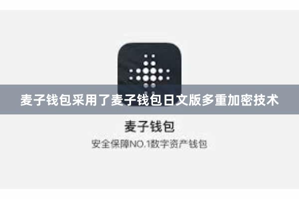 麦子钱包采用了麦子钱包日文版多重加密技术