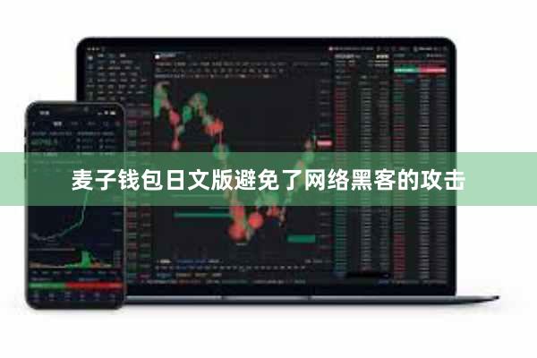 麦子钱包日文版避免了网络黑客的攻击