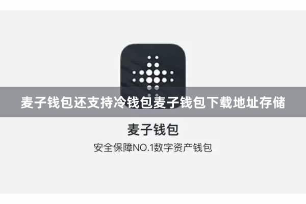 麦子钱包还支持冷钱包麦子钱包下载地址存储