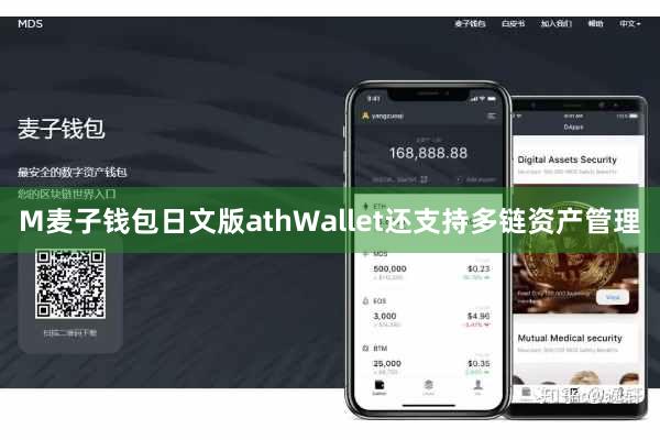 M麦子钱包日文版athWallet还支持多链资产管理