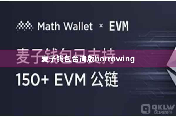 麦子钱包台湾版borrowing
