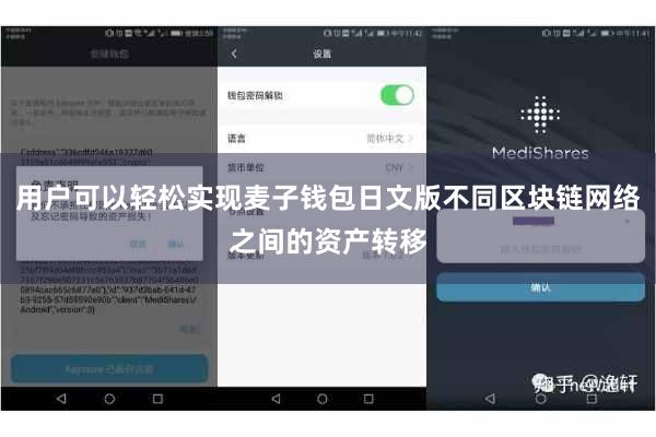 用户可以轻松实现麦子钱包日文版不同区块链网络之间的资产转移