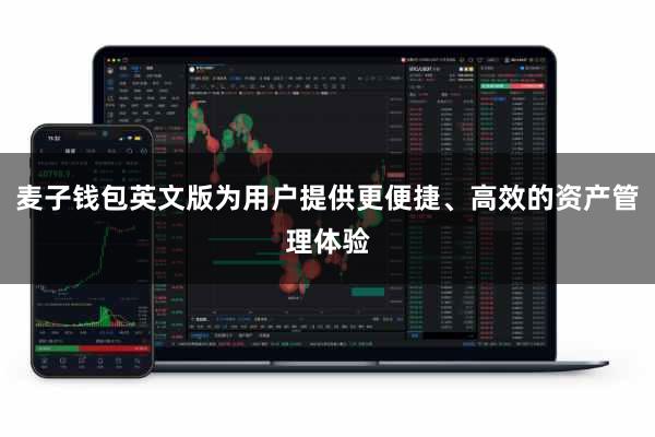 麦子钱包英文版为用户提供更便捷、高效的资产管理体验