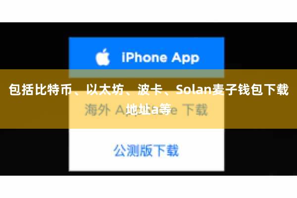 包括比特币、以太坊、波卡、Solan麦子钱包下载地址a等
